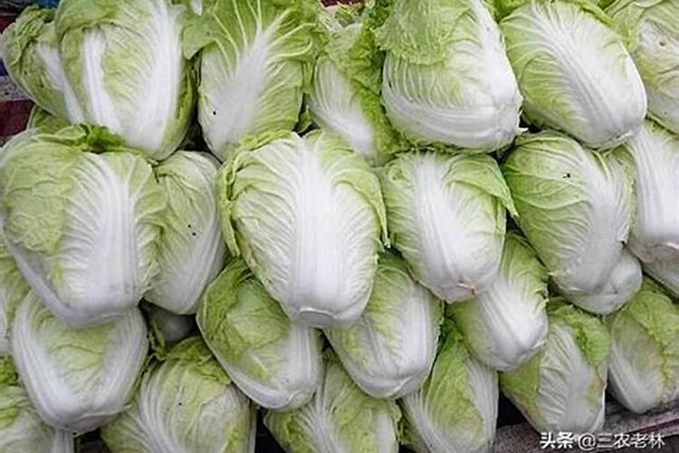 自制肥料方法
