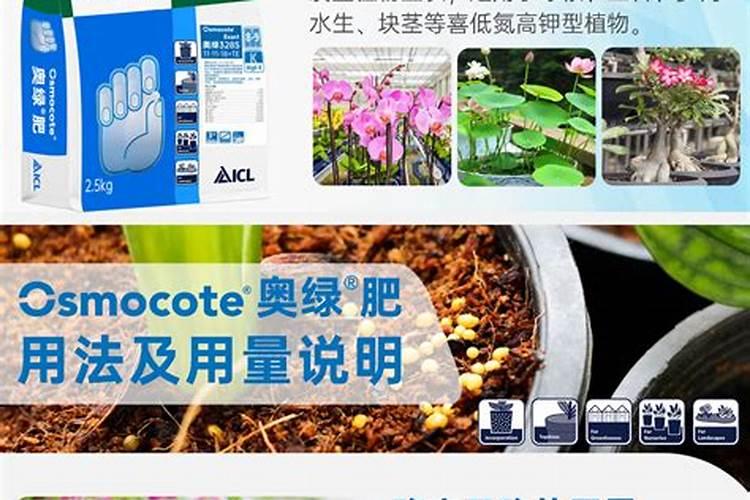 奥绿318s与a6的区别