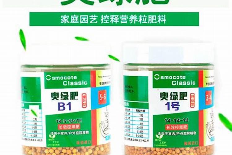 阳台上种了点草莓和番茄`用花多多`奥绿肥 做蔬菜肥料 吃了会对身体有...