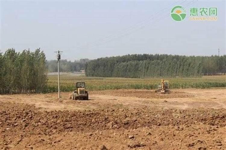 亲们,鲁西水溶肥效果怎么样？