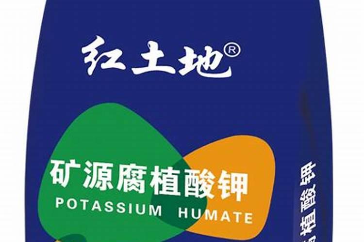 咱们结婚吧台词