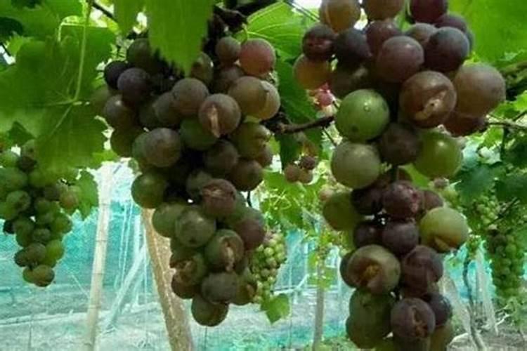 福泉磷矿工资待遇如何？在哪里工作有前途吗？