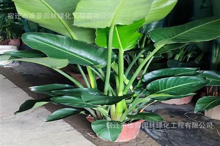 为什么炸药会爆炸火药的爆炸原理是,短时