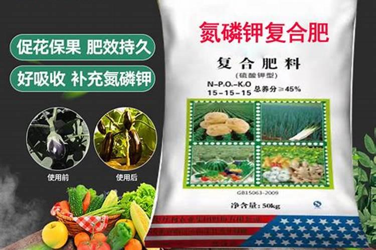 蟹爪兰上什么肥料最好正准备开花