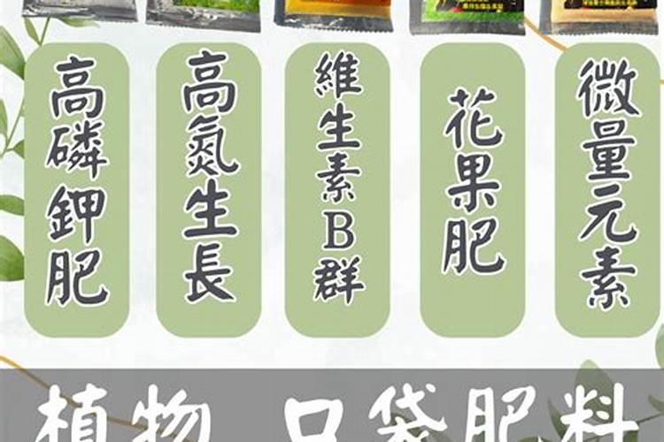 茄子夏季如何追肥腐植酸水溶肥呢？