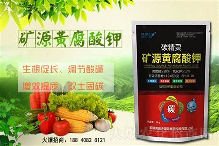 核桃树多久浇水一次 核桃树怎么浇水
