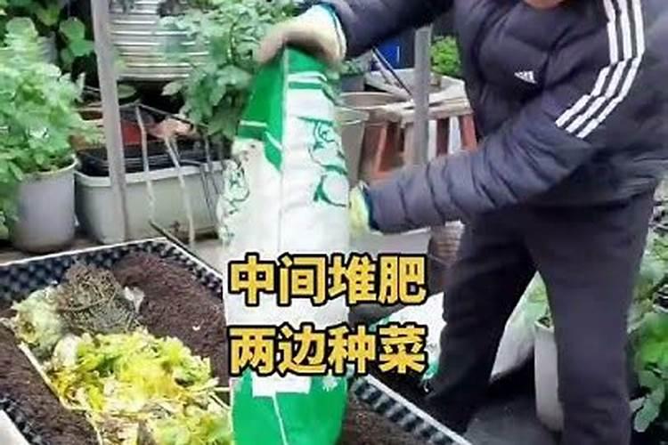 泡沫箱种菜为什么土质会那么硬,有没有改善的方法？楼顶上种菜温度...