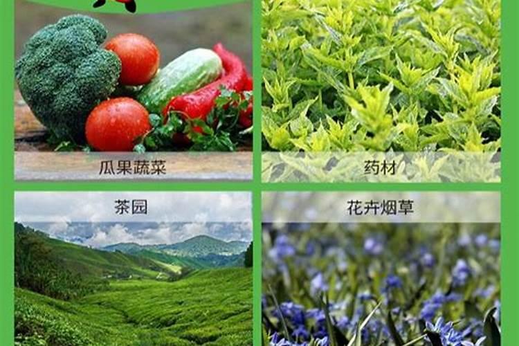 多肽有机氮肥是什么