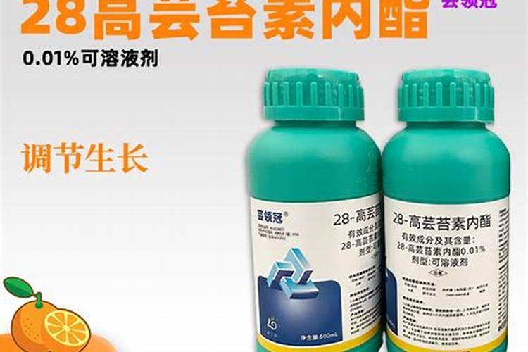 浙江永康特产:永康五指岩生姜