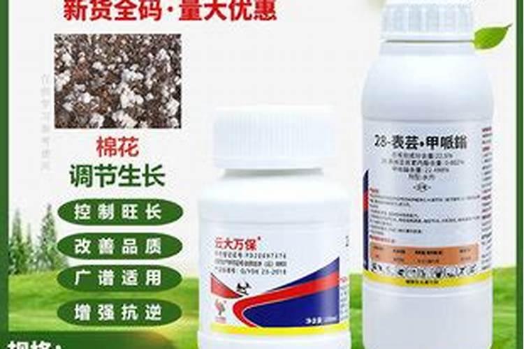 芸苔素的基本信息