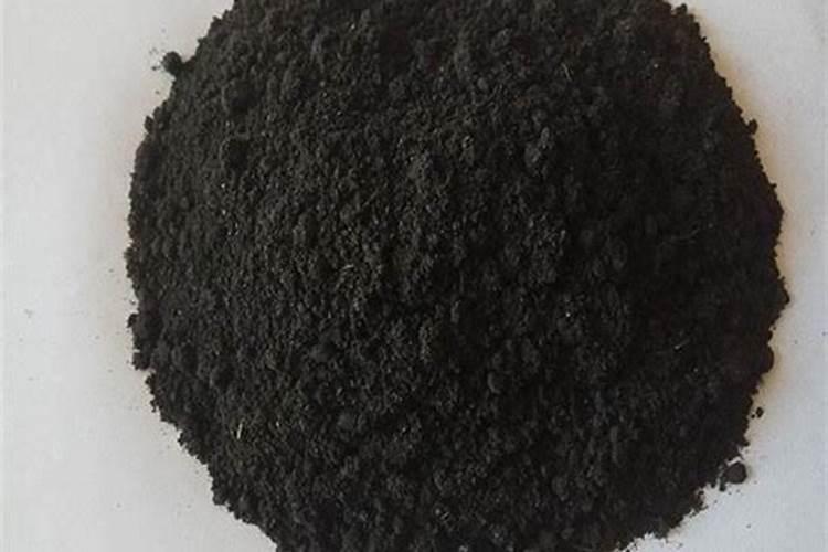 樱桃树怎么种植？