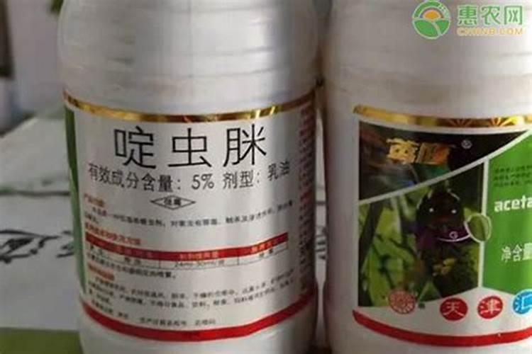 草烟叶的斑点病用什么农药效果好