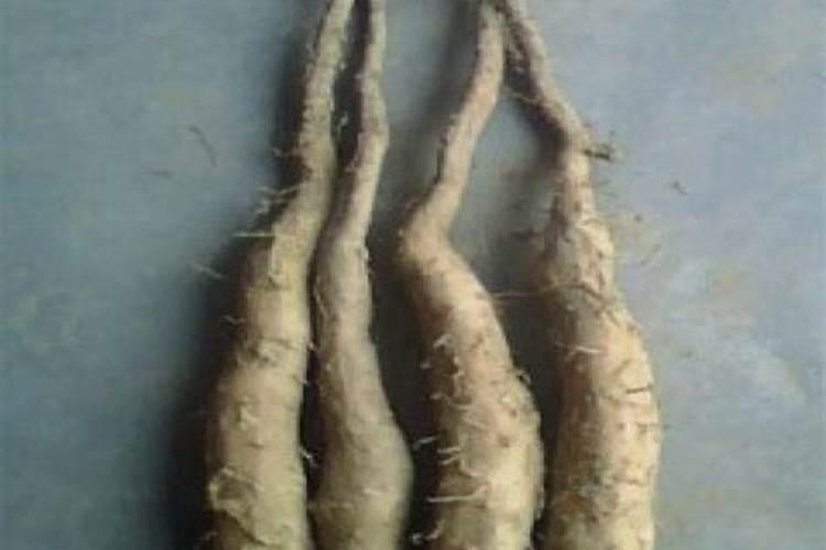 尿素磷肥钾肥复合肥的区别