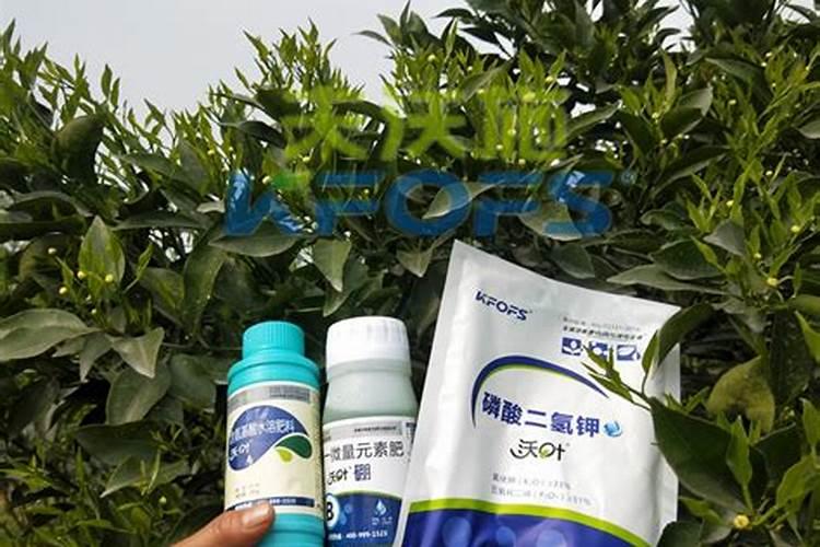 红薯种植浅栽好还是深栽好 红薯怎么养殖比较好
