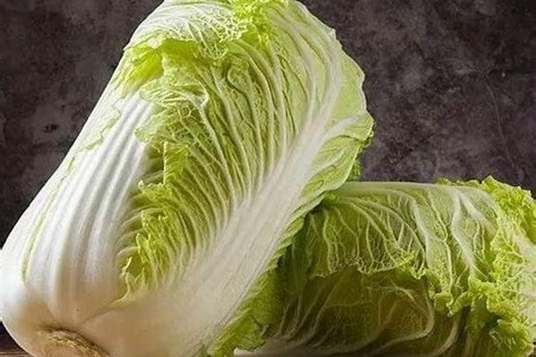 复合肥可以浇多肉吗