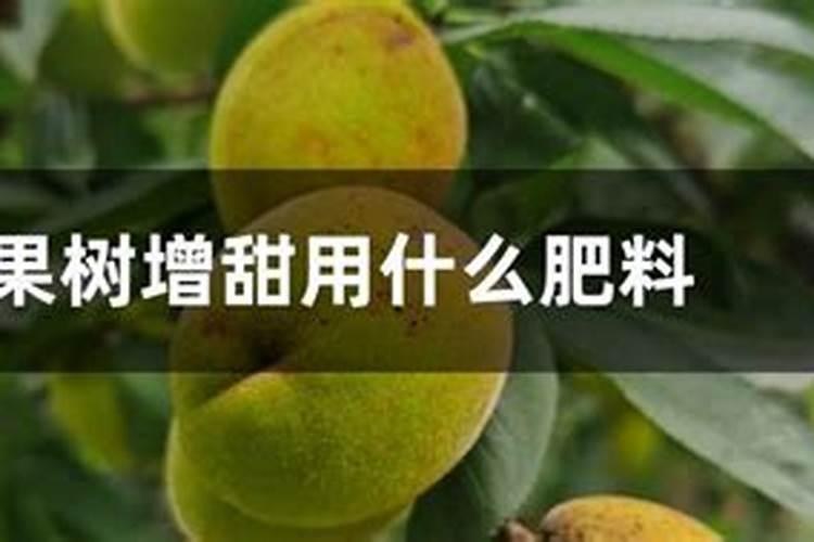 百香果施什么肥才能结果多？