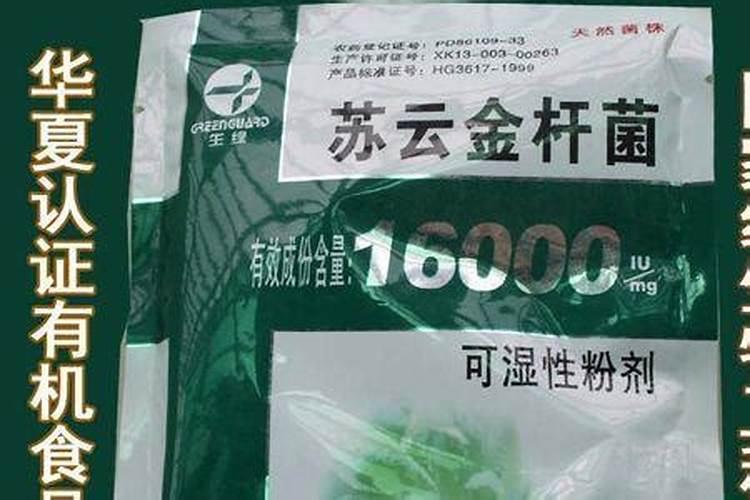 柿树种植品种多,柿树种植品种特点有哪些？