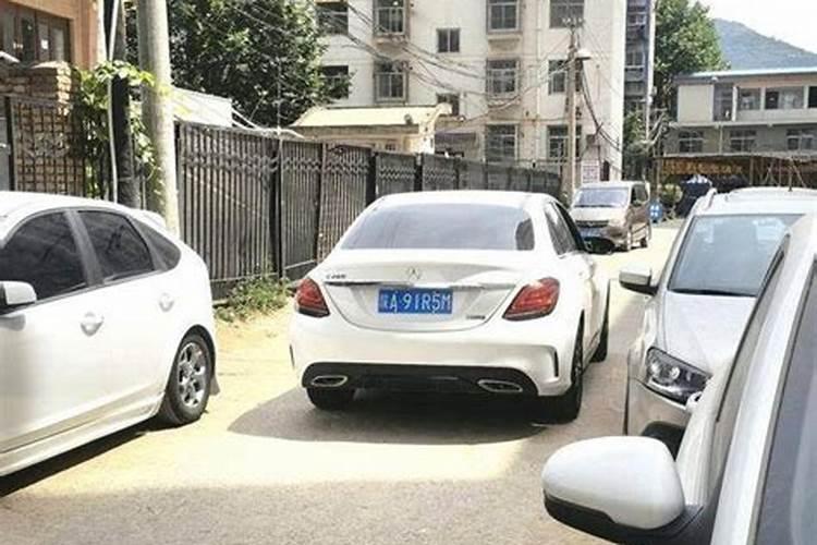 石榴长成树要多少年
