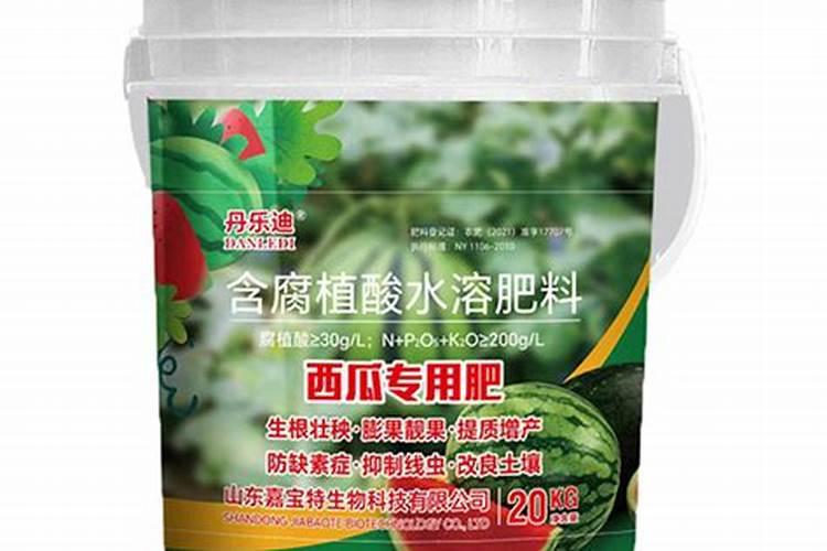 西瓜怎么种 育苗