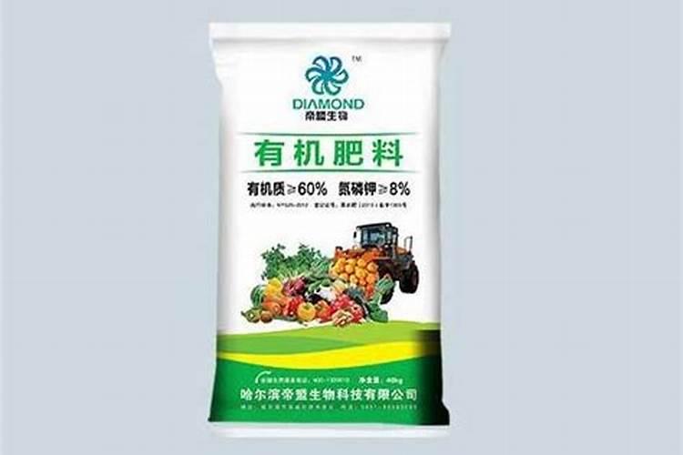 新栽的树苗怎么浇水