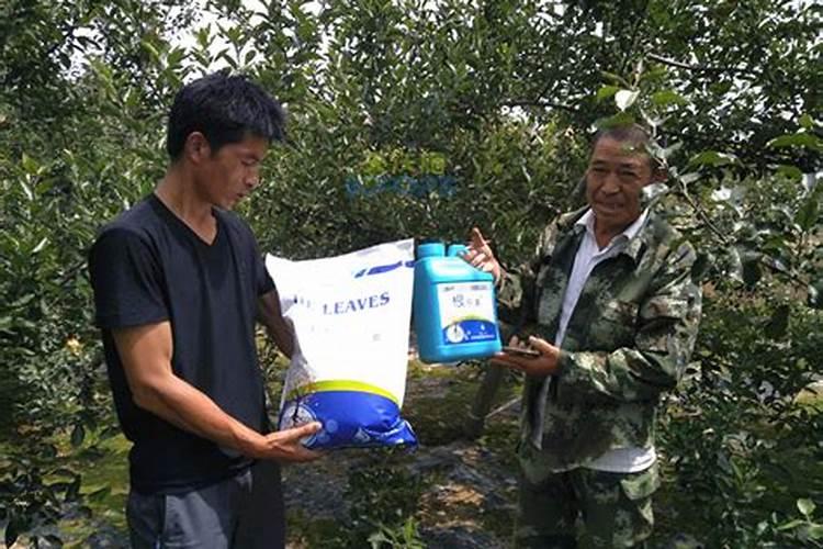 水溶肥十大名牌,摩力水溶肥效果极好