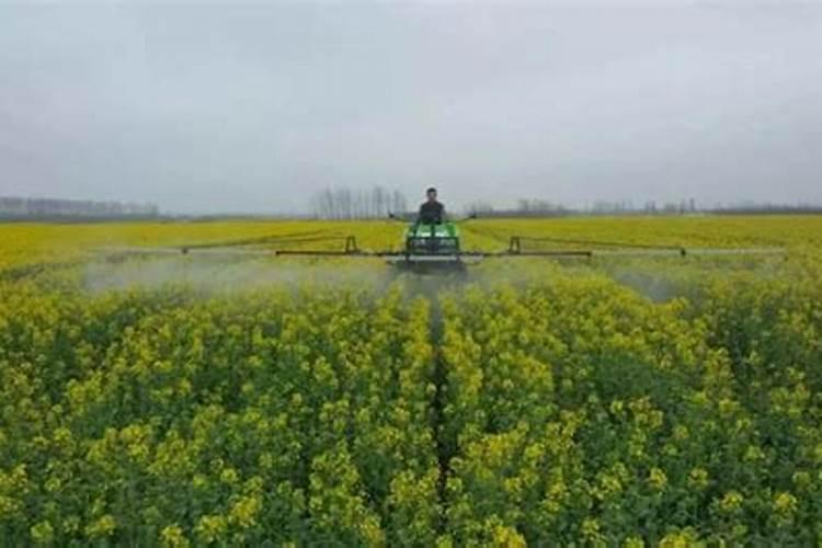 喷施除草剂时 药液里能加入氮肥吗？