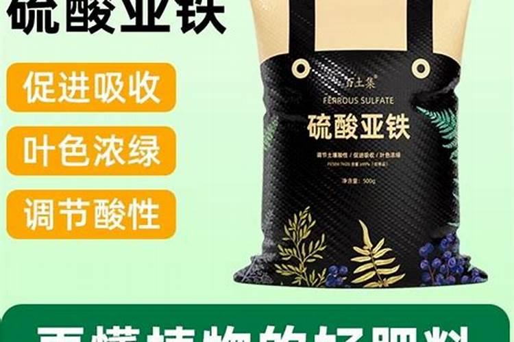 钙肥有哪些