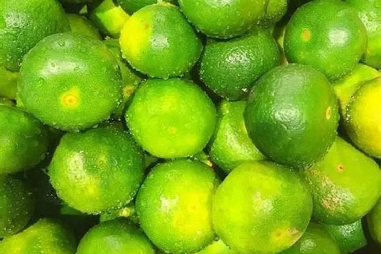 茉莉花施什么肥好,茉莉花施磷钾肥和有机肥最好