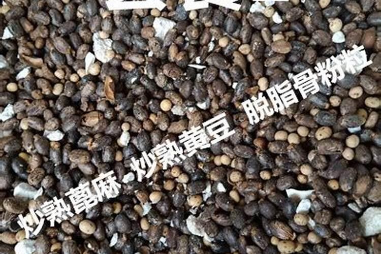 蓖麻子多少钱一斤2018年,报价为一斤10～12元