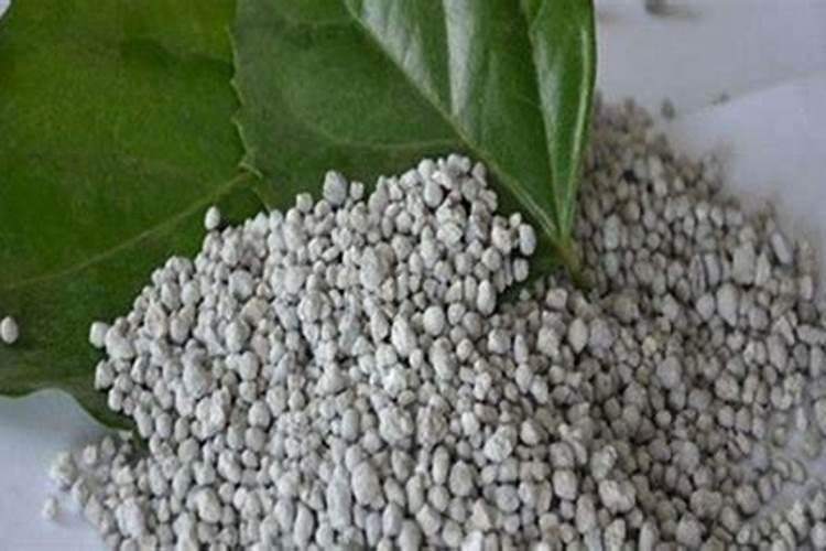 玉米增产叶面肥的配方