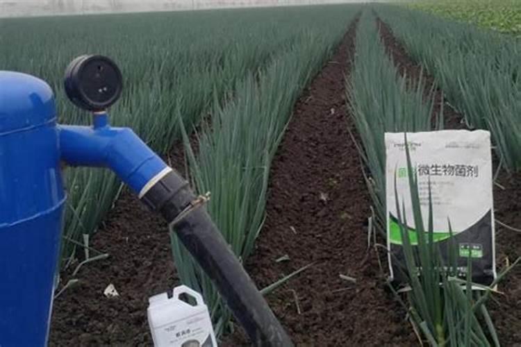 咖啡渣堆肥存在的十大意外用途分别是啥？