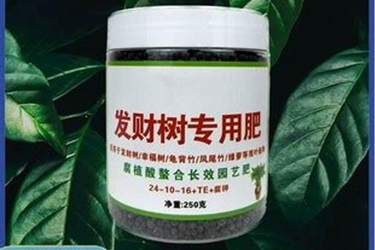什么植物适合做腐殖土？
