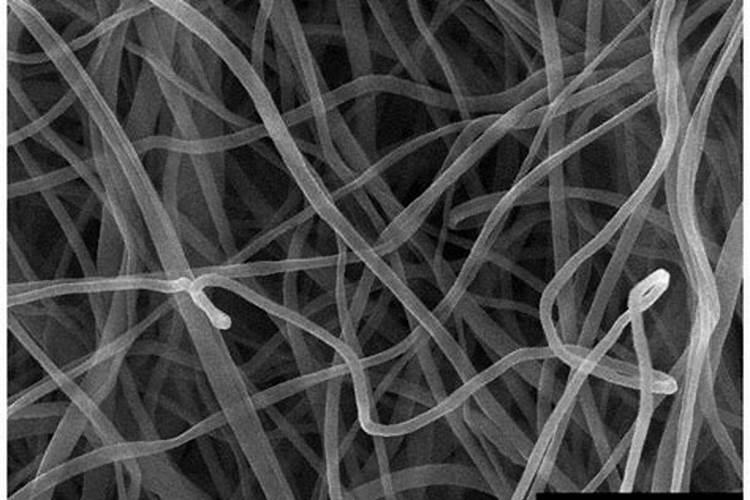 含海藻酸水溶肥料的养分构成,功效是怎样的