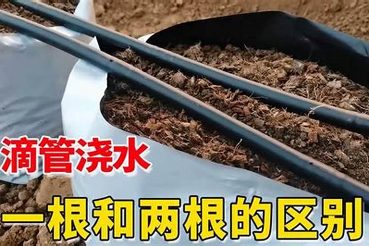 怎么才能证明黄腐酸钾好？