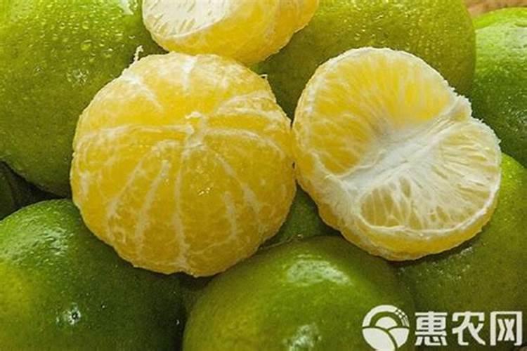 沃柑和世纪红柑桔那个品种好