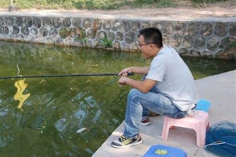 生长在肥水环境中的鱼比较难钓,在肥水塘中钓鱼,需要掌握哪些技巧？