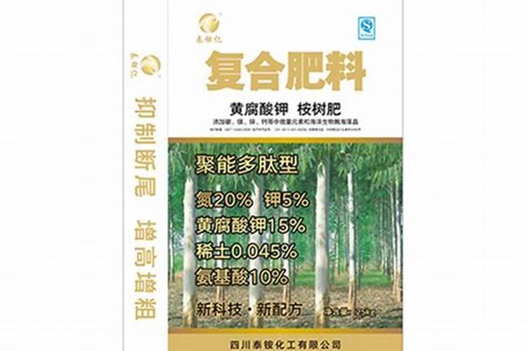 蓝莓种子种植技术知道吗 蓝莓有哪些养殖方法
