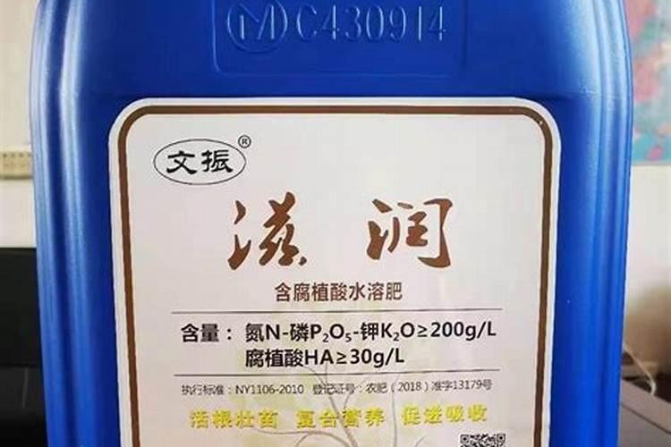 怎么能让香菜快速变绿发亮？生长的更好一些
