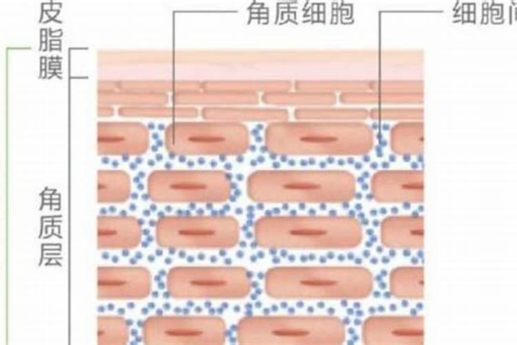 药水泡过的文玩核桃怎么处理？