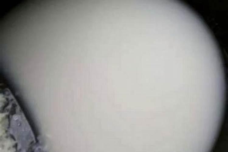 水培植物用什么肥料