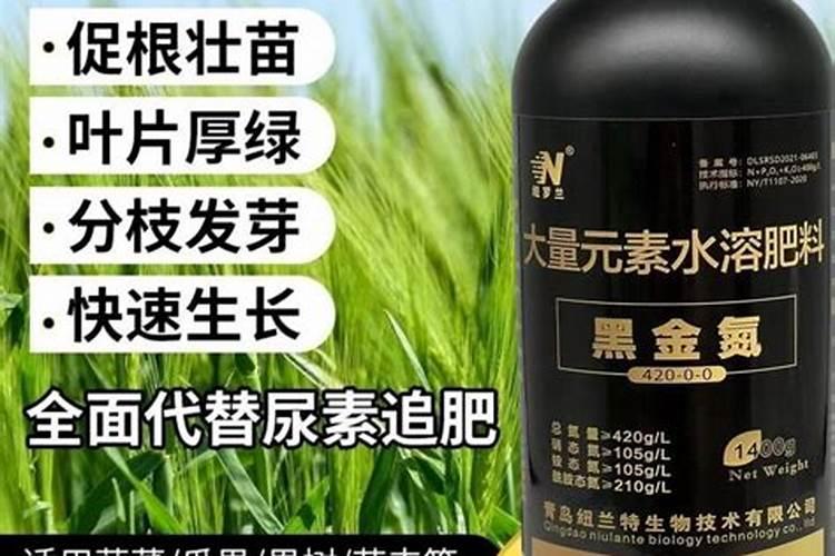 一年的小樱桃树施冬肥吗？