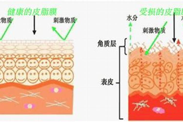 敏感肌肤增厚角质层的方法