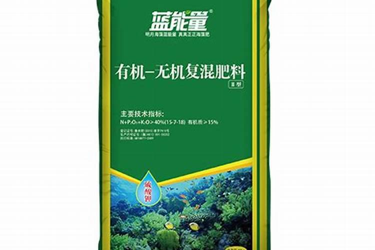 今天买了一颗不带土的君子兰,不知道栽上能活吗