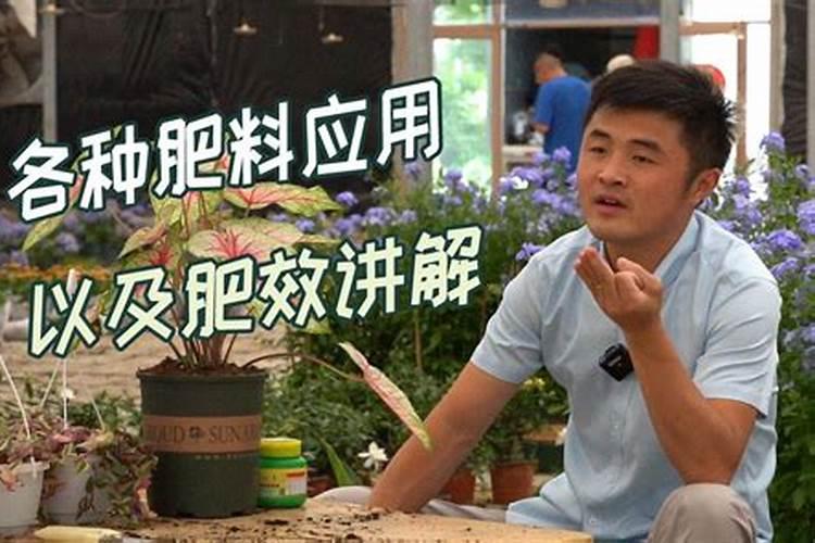 高中生物说课稿