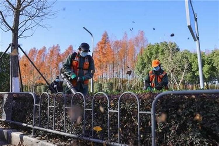 家庭可用什么材料沤制氮肥氮肥氮肥？外行请勿复制粘贴。