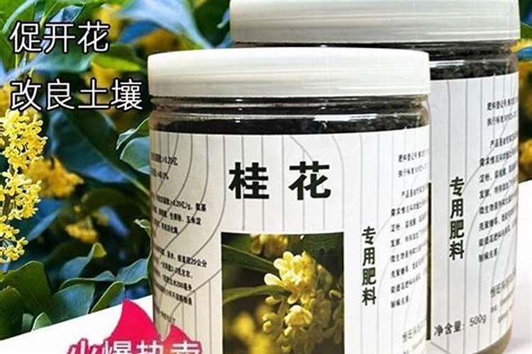 桂花专用肥有用吗