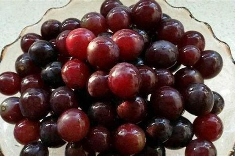 红提葡萄秋季怎样施肥,专家们推荐个方案。谢谢。