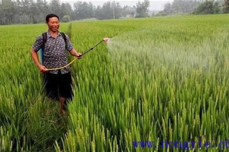 磷酸氢钾浇花几天见效