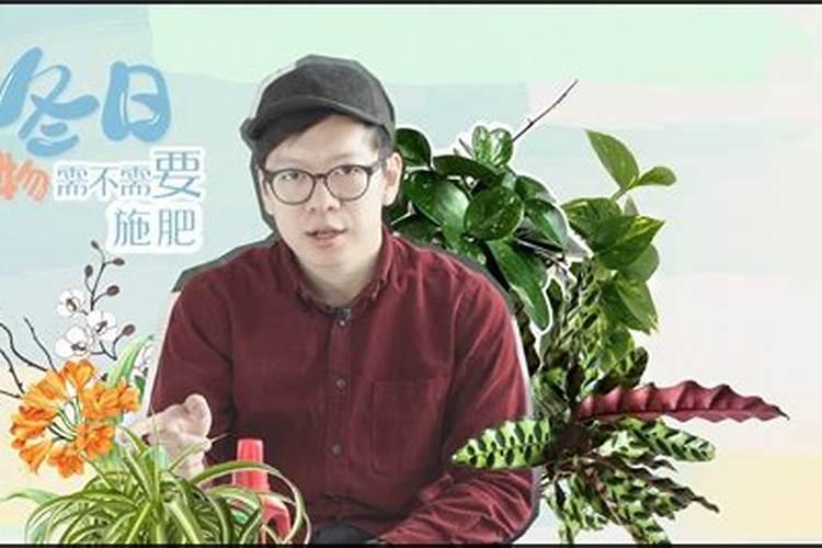 冬天花卉需要肥料吗,冬天如何施肥