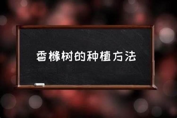 济南绿沃生物科技有限公司怎么样？